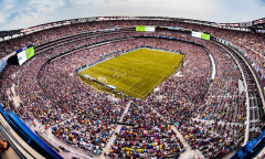 这表白它们不只具