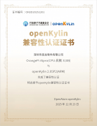 是中国开源力量世界的主要代表