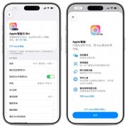 <strong>质是苹果全球AI结</strong>